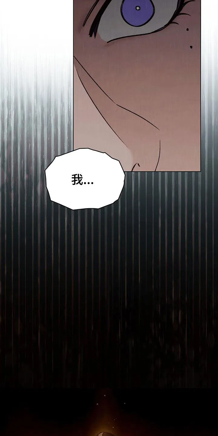 《琥珀魅影》第64话 第15页