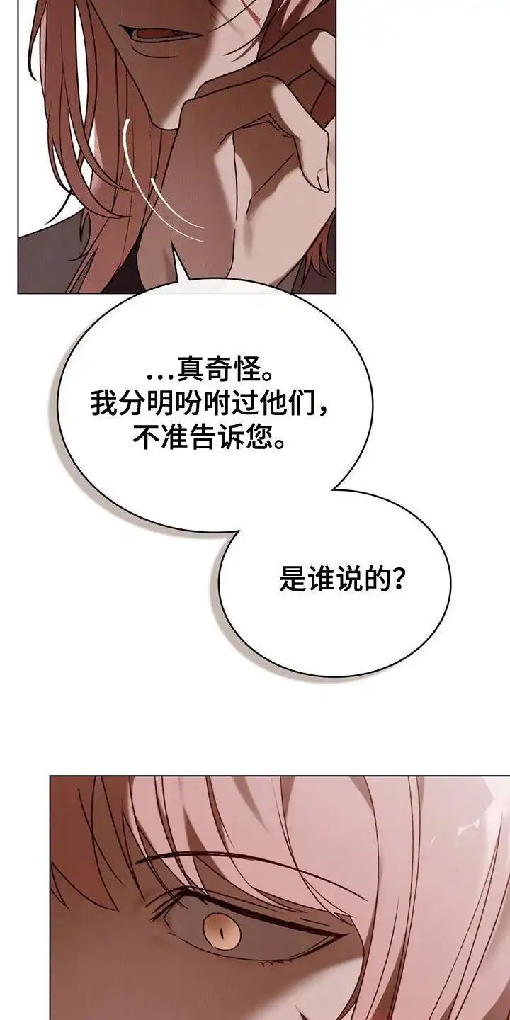 《琥珀魅影》第66话 第4页