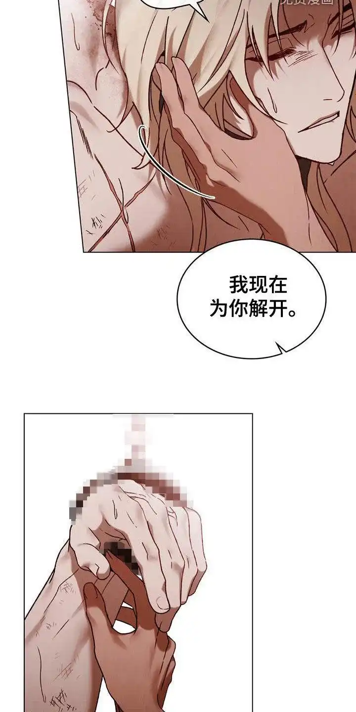 《琥珀魅影》第67话 第3页