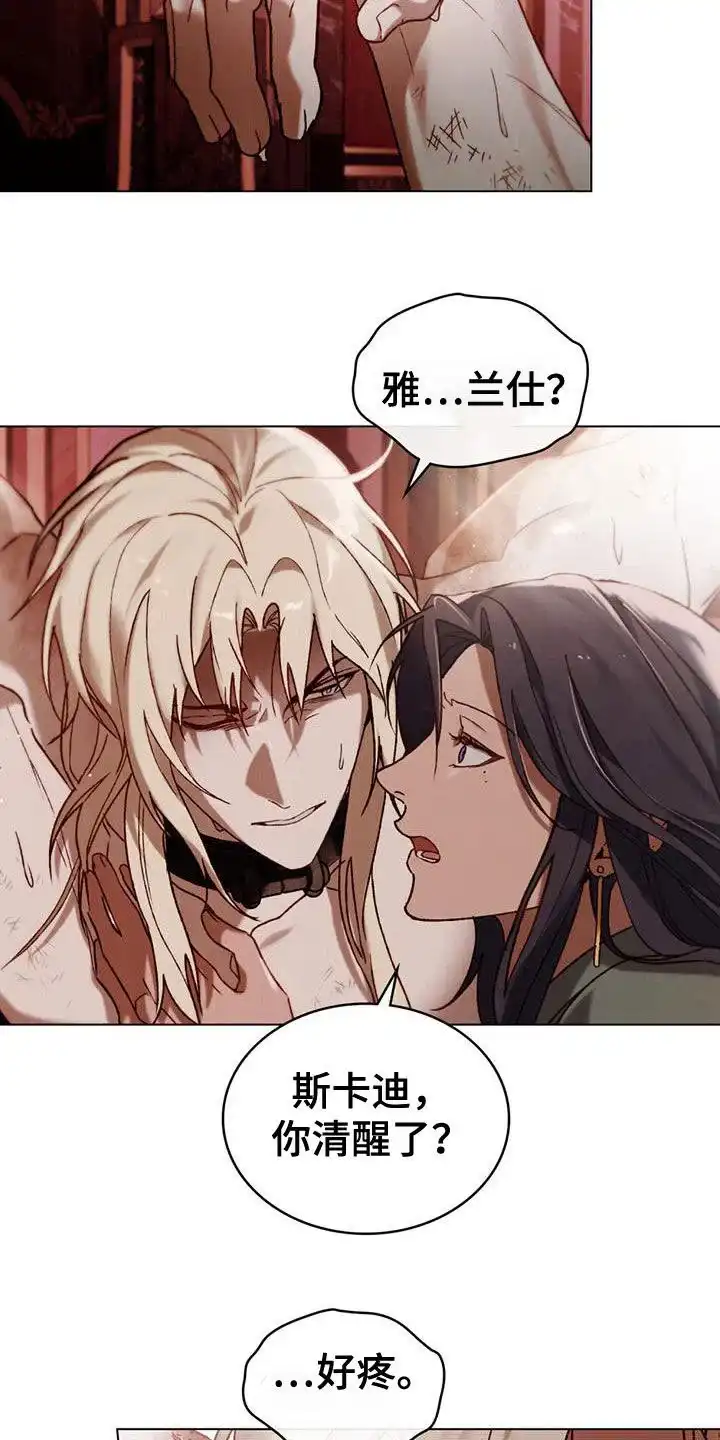 《琥珀魅影》第67话 第2页