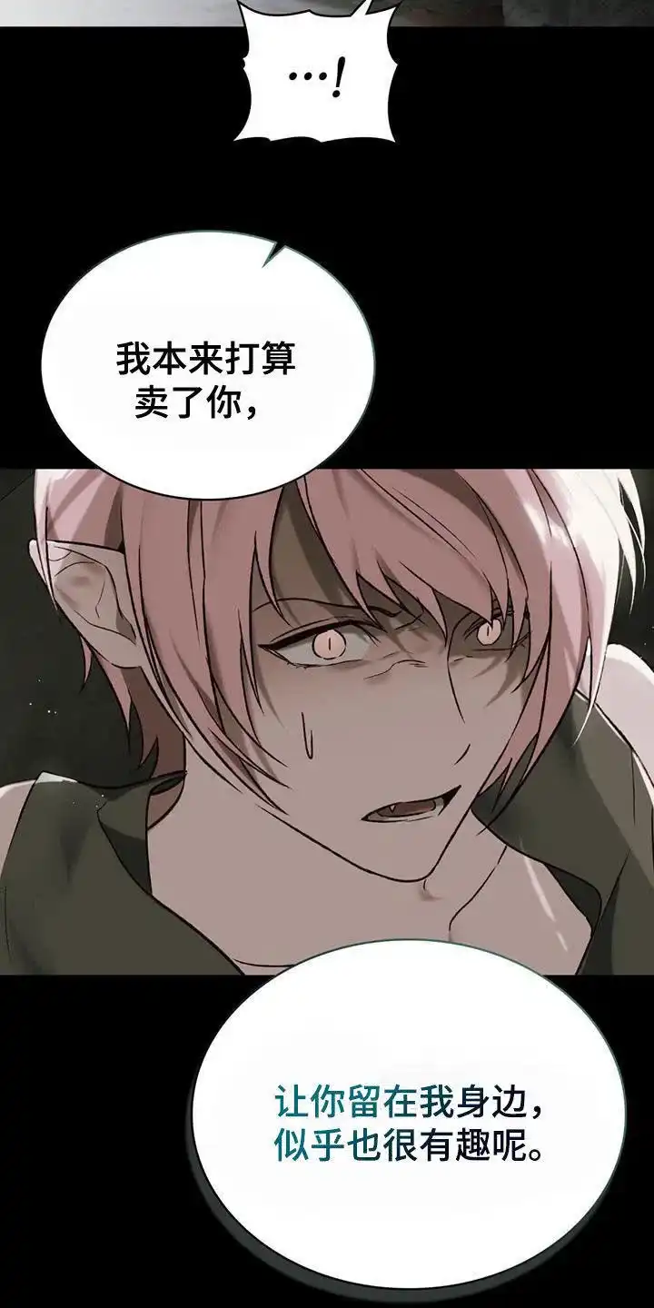 《琥珀魅影》第67话 第29页