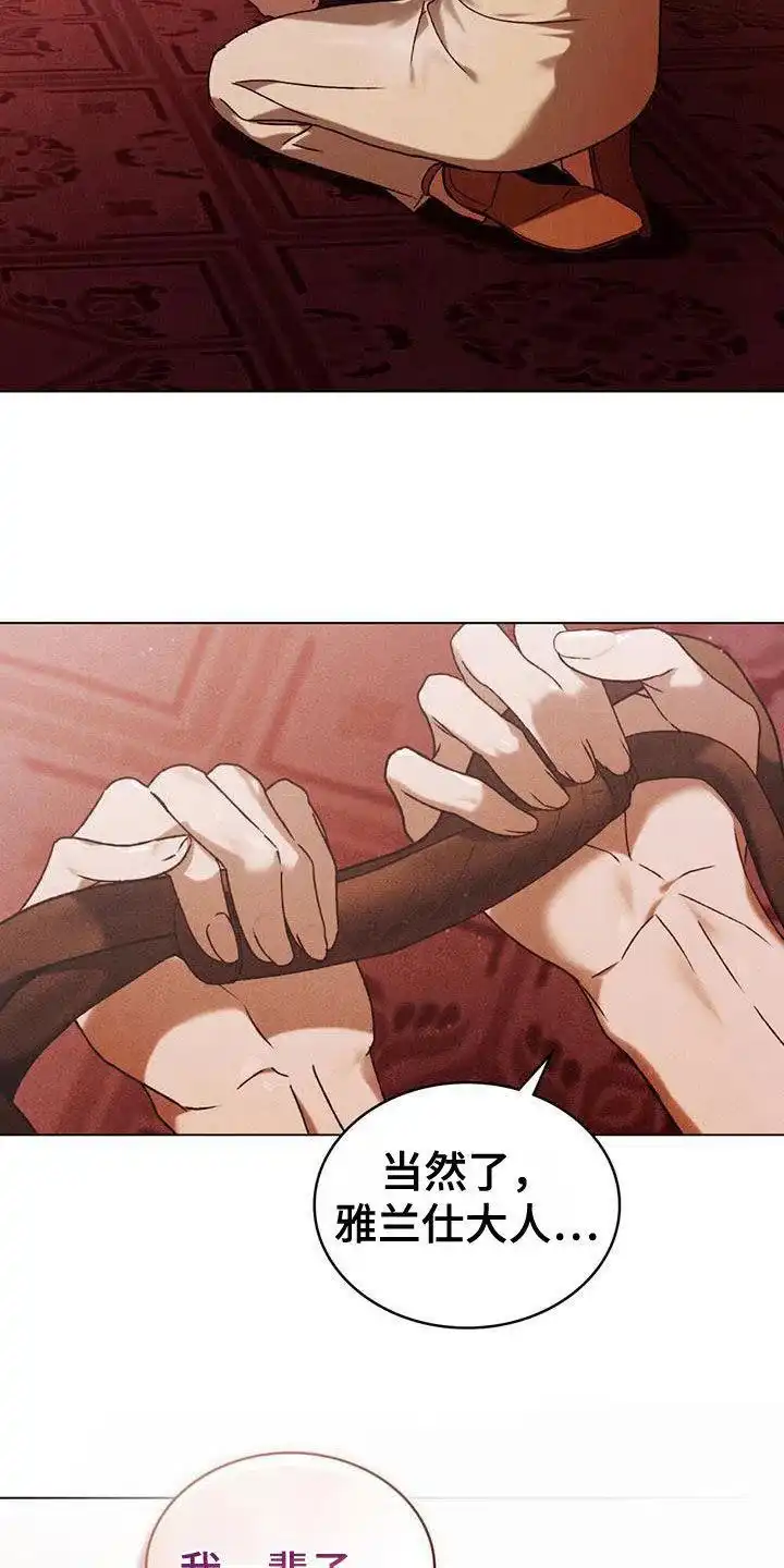《琥珀魅影》第67话 第33页