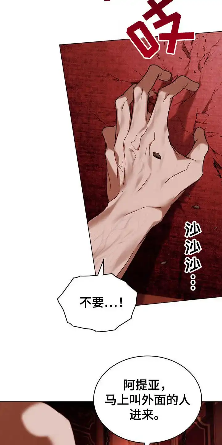 《琥珀魅影》第67话 第5页