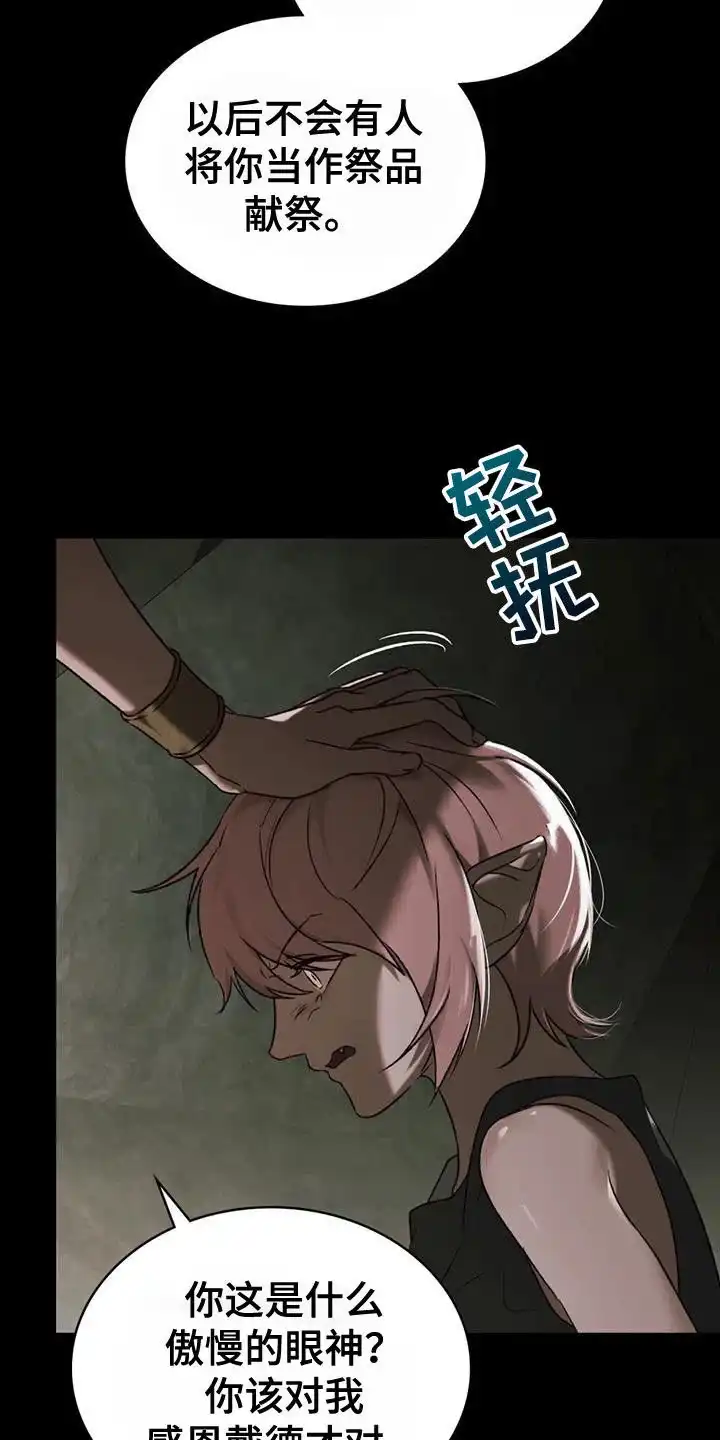 《琥珀魅影》第67话 第27页
