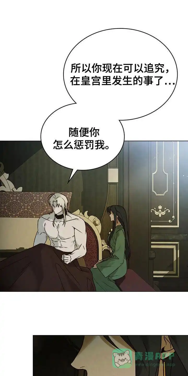 《琥珀魅影》第68话 第16页