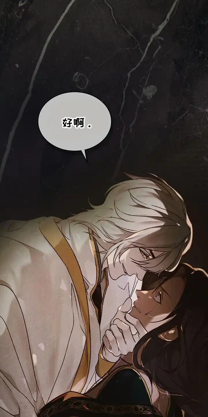 《琥珀魅影》第68话 第12页
