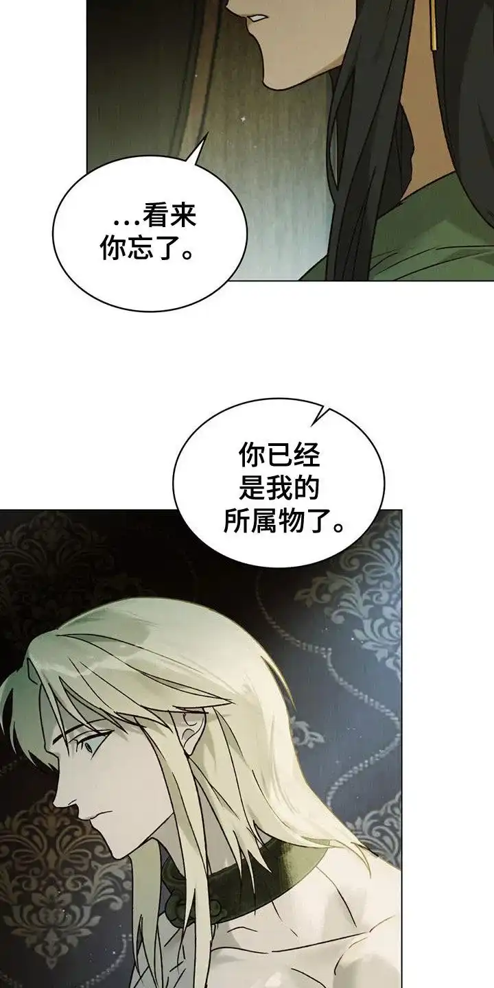 《琥珀魅影》第68话 第17页