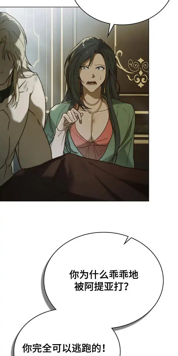 《琥珀魅影》第68话 第5页