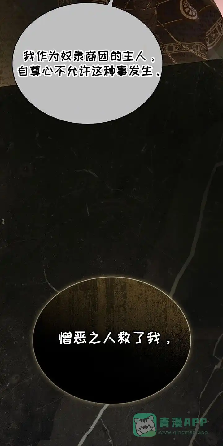 《琥珀魅影》第68话 第11页