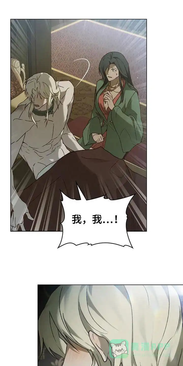 《琥珀魅影》第69话 第1页