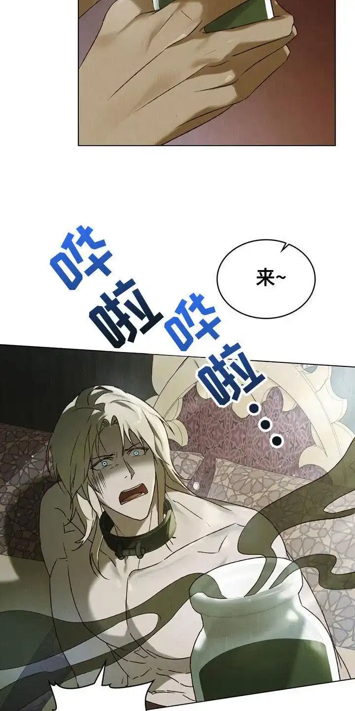 《琥珀魅影》第69话 第13页