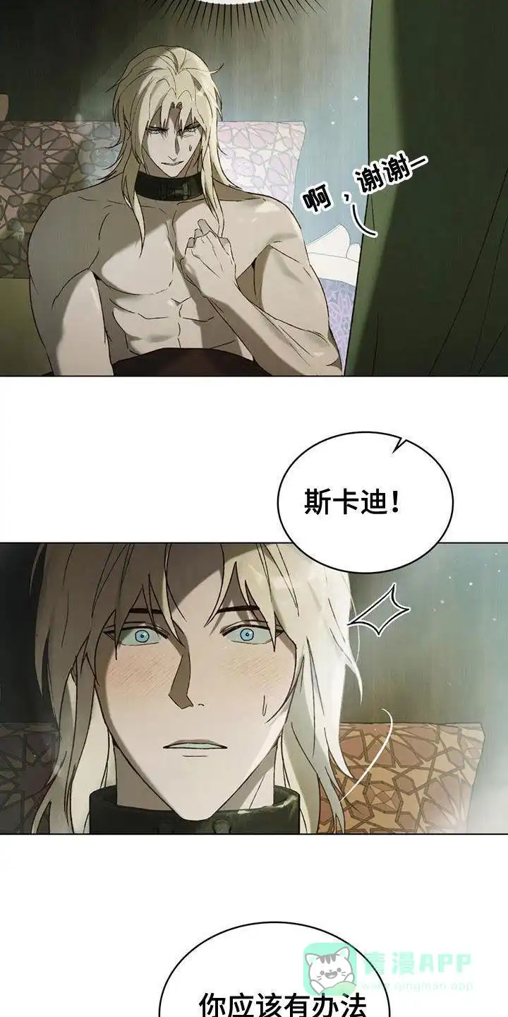 《琥珀魅影》第69话 第11页