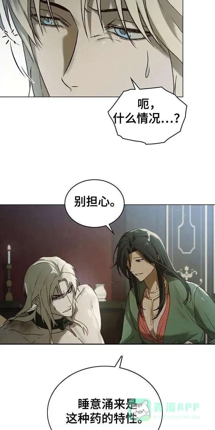 《琥珀魅影》第69话 第16页