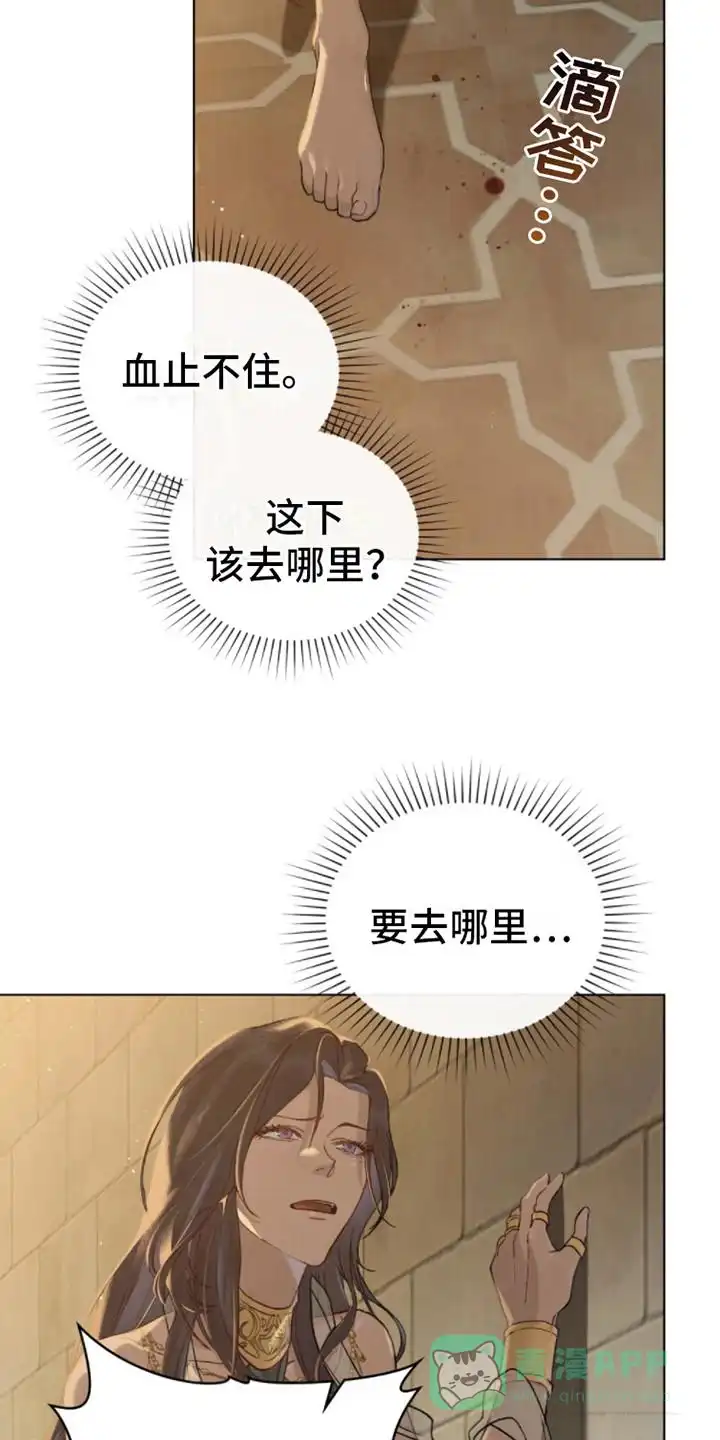 《琥珀魅影》第7话 第6页