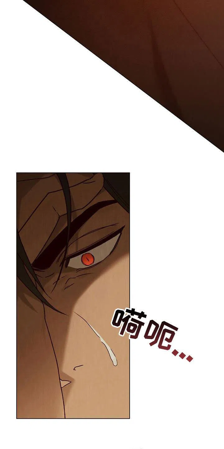 《琥珀魅影》第71话 第14页