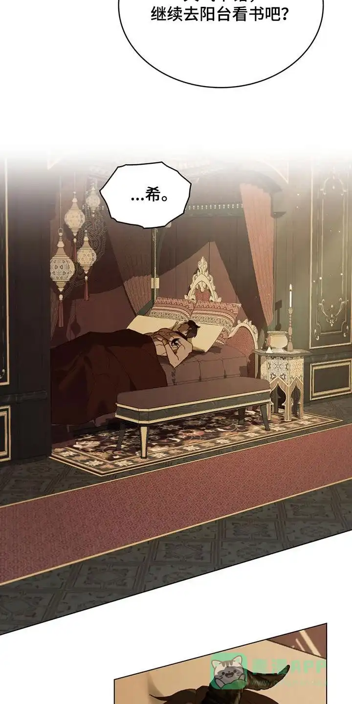 《琥珀魅影》第71话 第6页