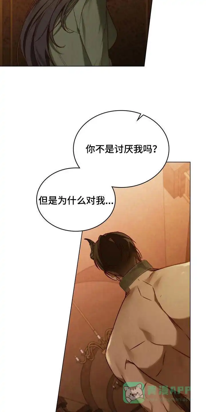 《琥珀魅影》第73话 第11页