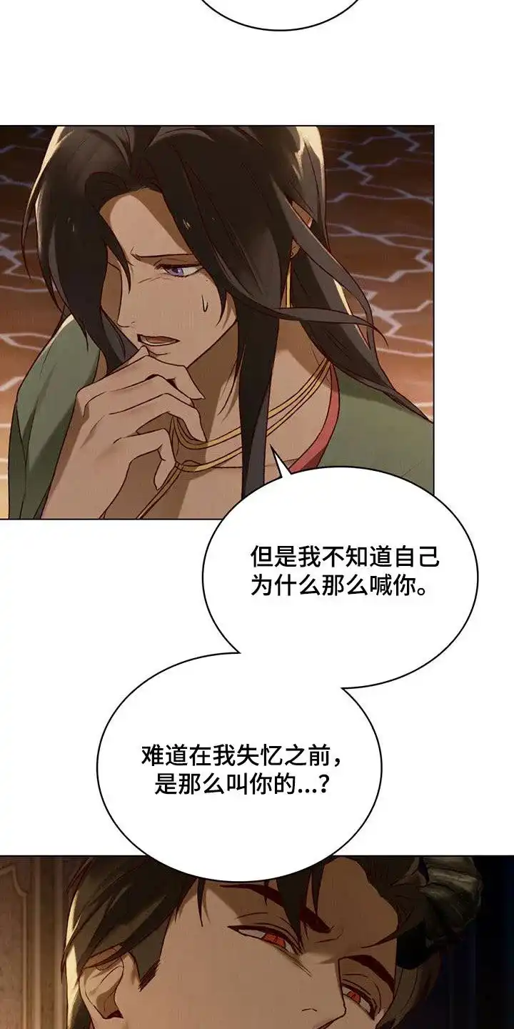 《琥珀魅影》第74话 第3页