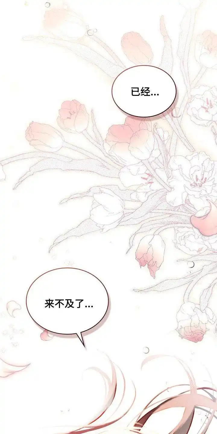 《琥珀魅影》第77话 第25页