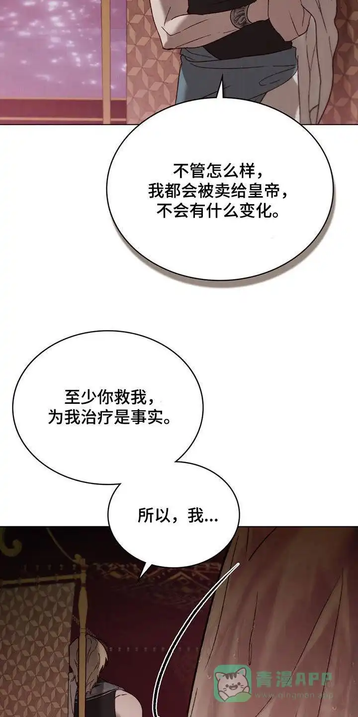《琥珀魅影》第77话 第16页