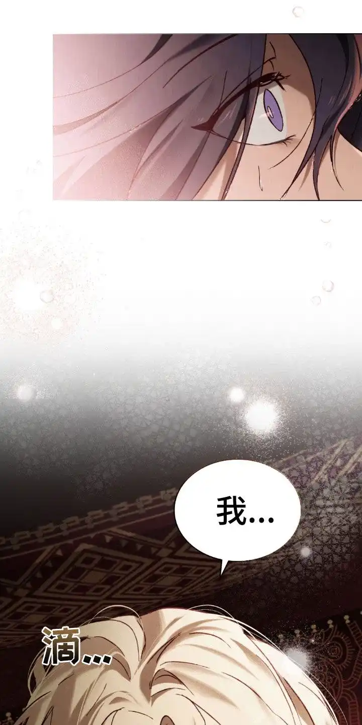 《琥珀魅影》第78话 第17页
