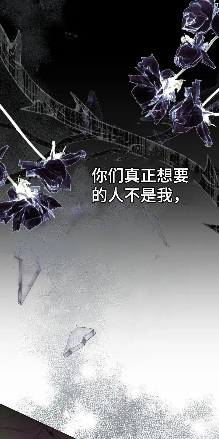《琥珀魅影》第78话 第8页