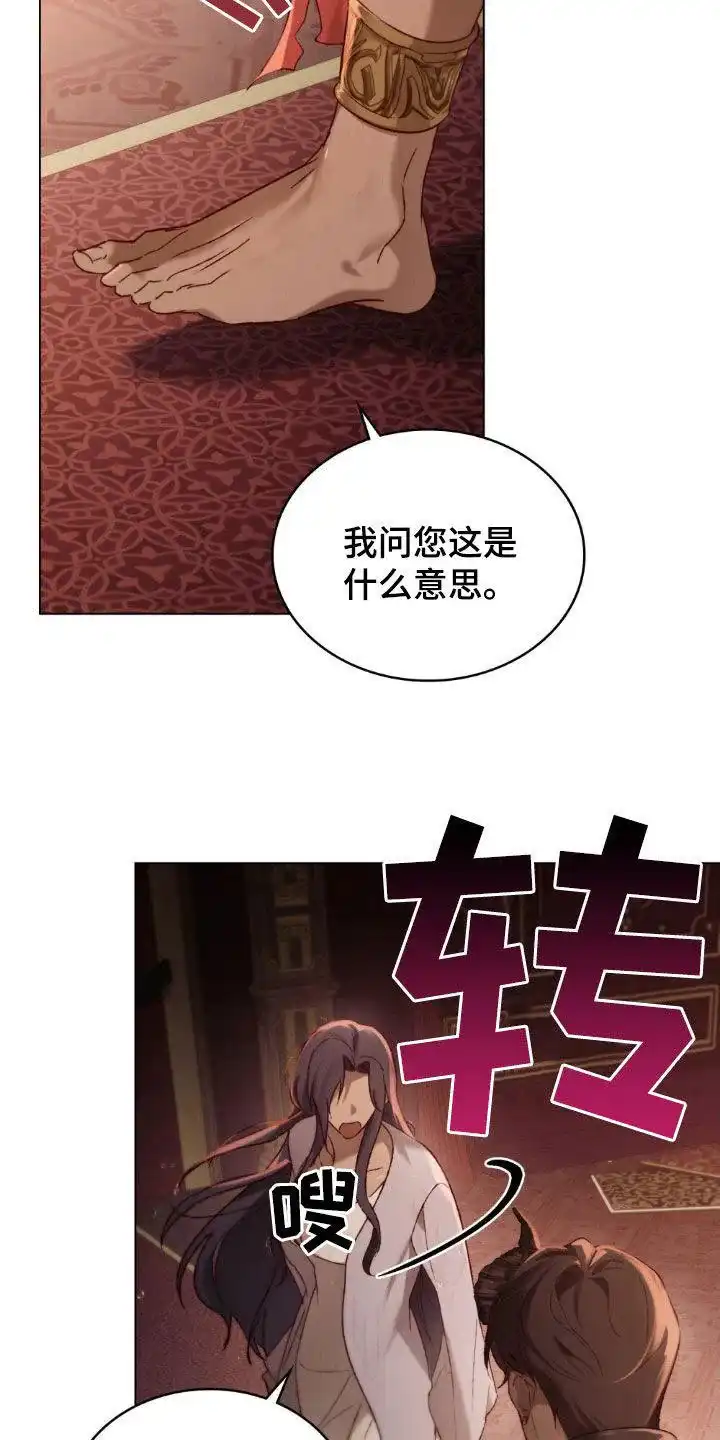 《琥珀魅影》第79话 第13页