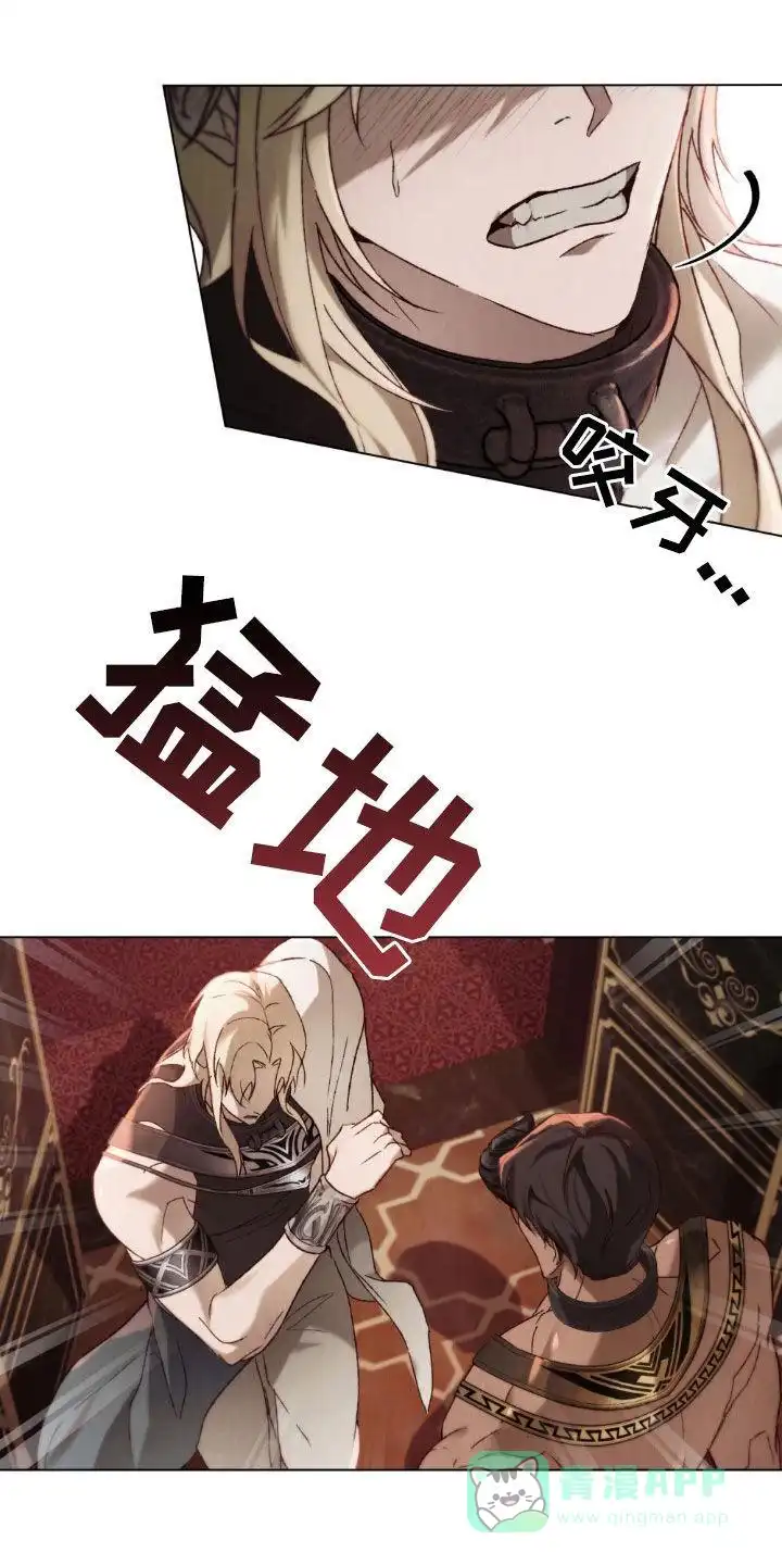《琥珀魅影》第79话 第1页