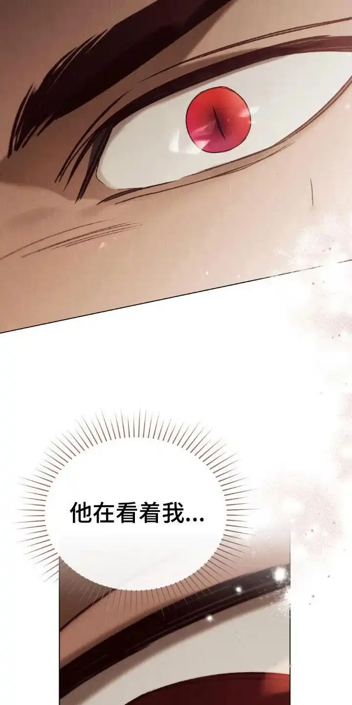 《琥珀魅影》第81话 第15页