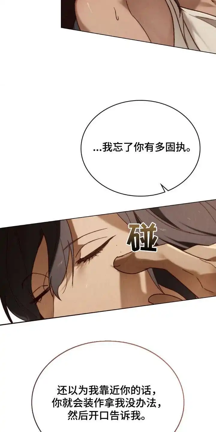 《琥珀魅影》第82话 第17页