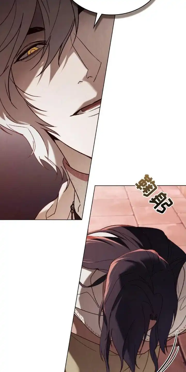 《琥珀魅影》第83话 第29页