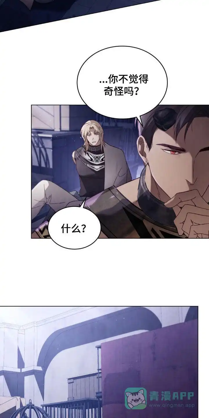 《琥珀魅影》第87话 第16页