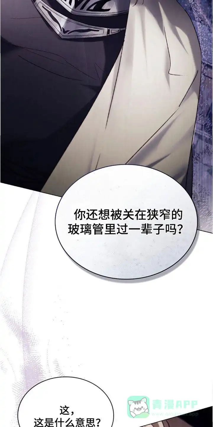 《琥珀魅影》第88话 第11页