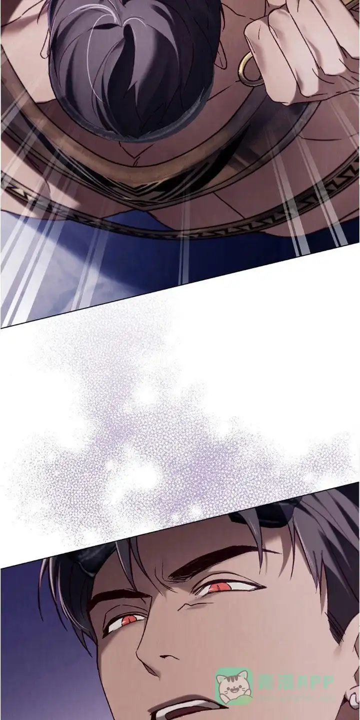 《琥珀魅影》第88话 第6页