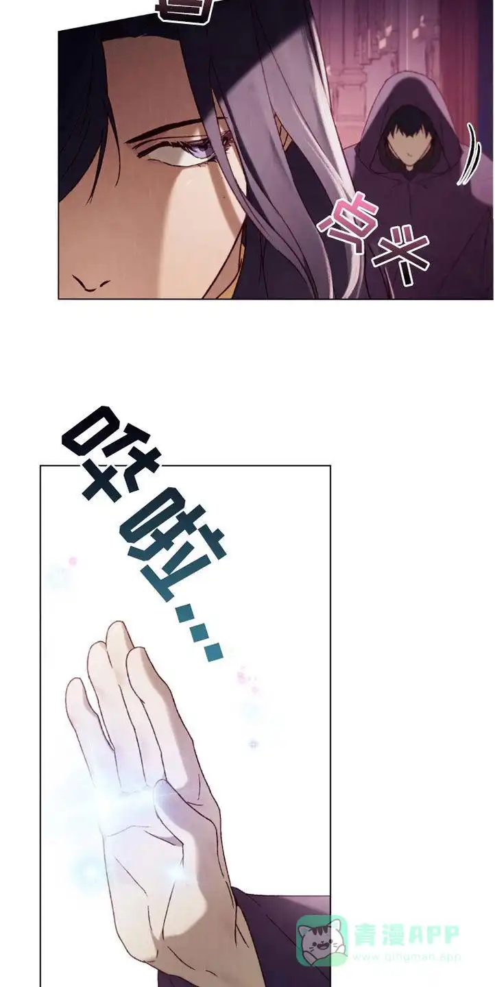 《琥珀魅影》第88话 第26页