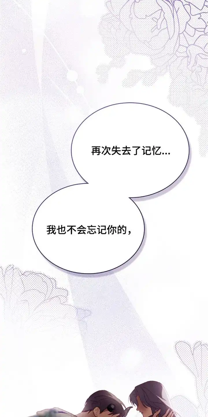 《琥珀魅影》第89话 第2页