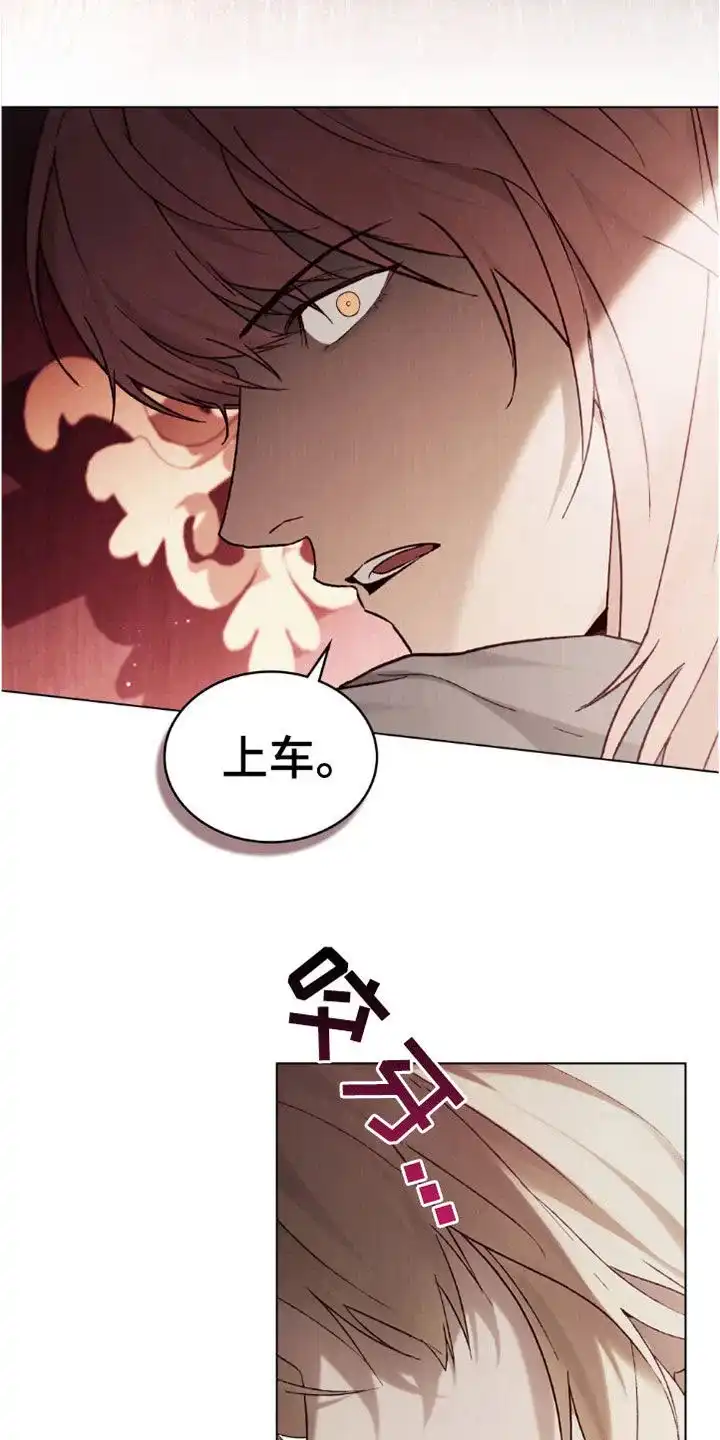 《琥珀魅影》第89话 第27页