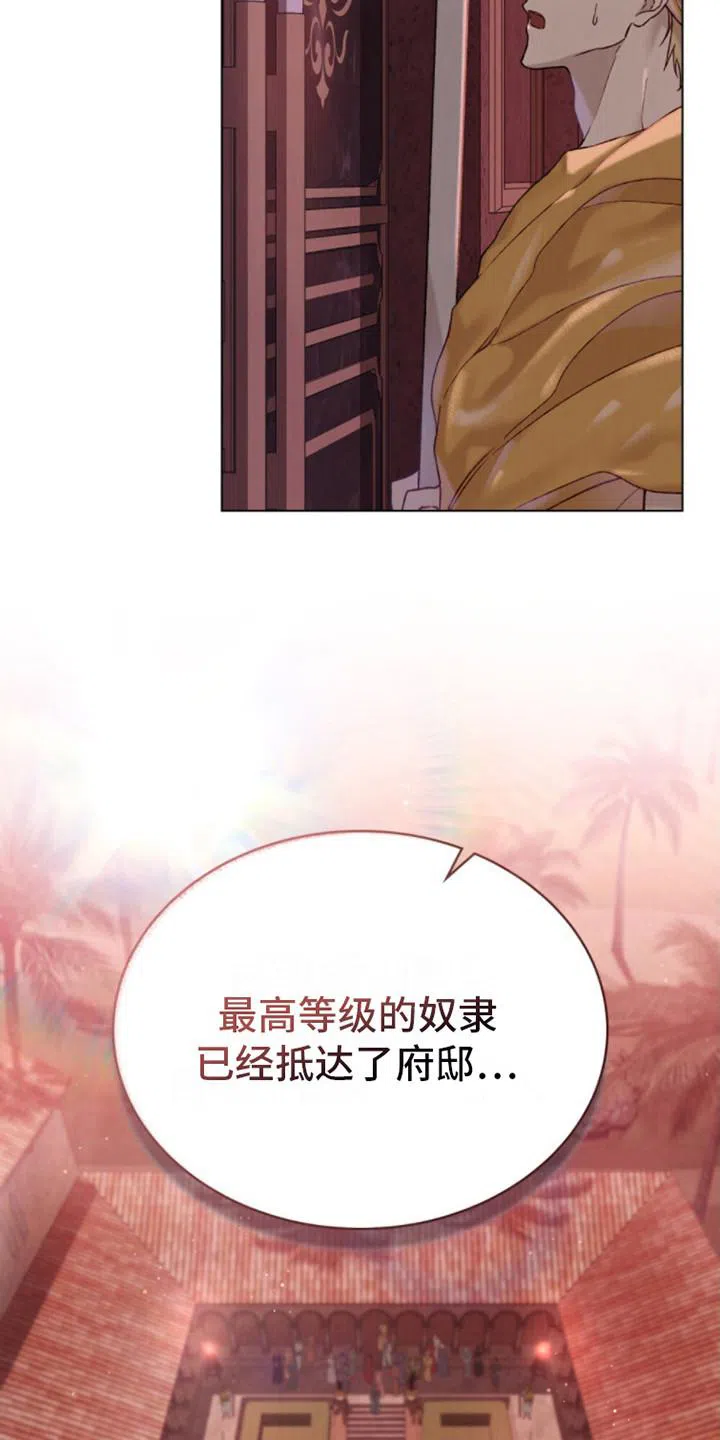 《琥珀魅影》第9话 第7页