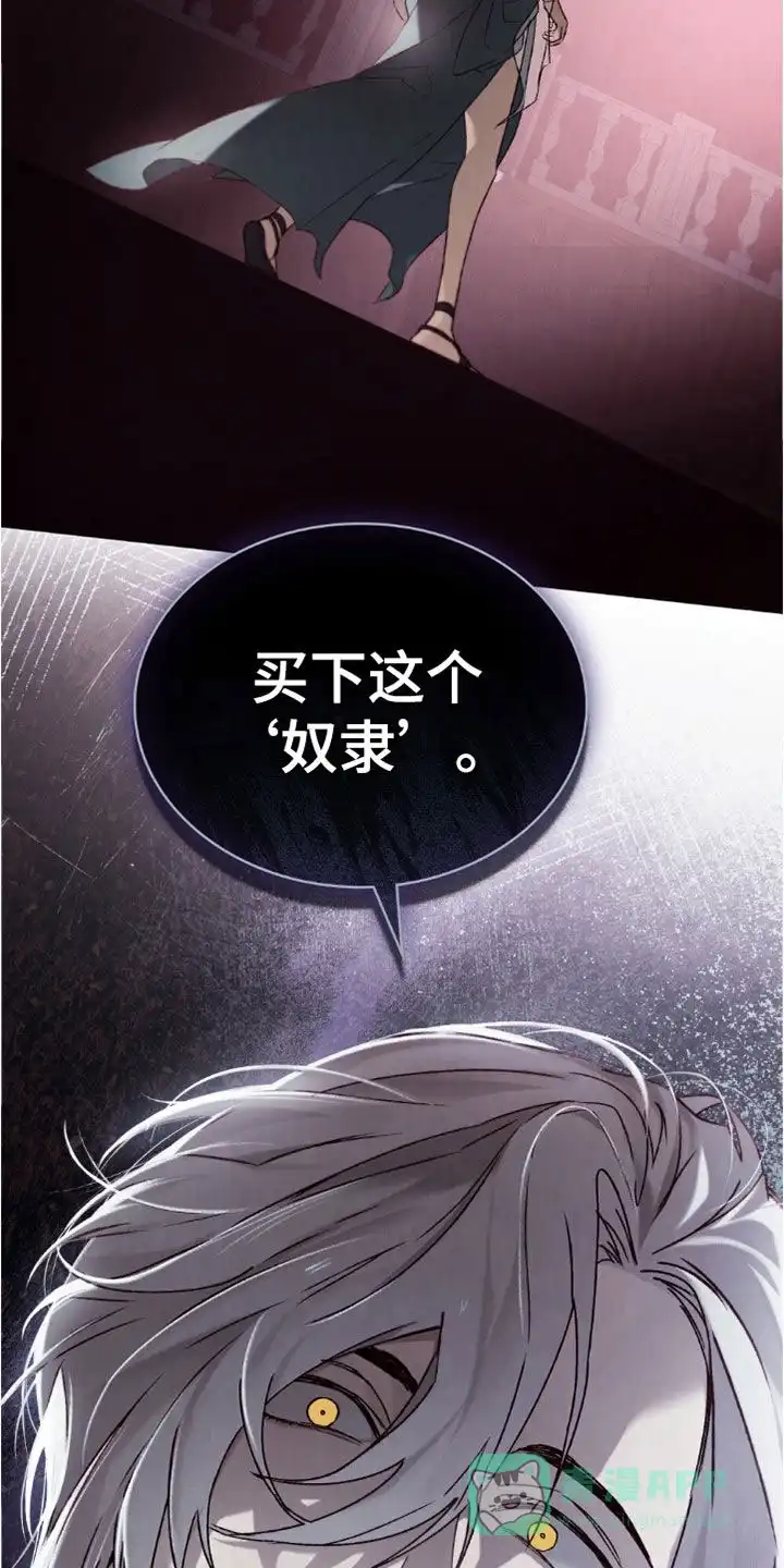 《琥珀魅影》第91话 第21页
