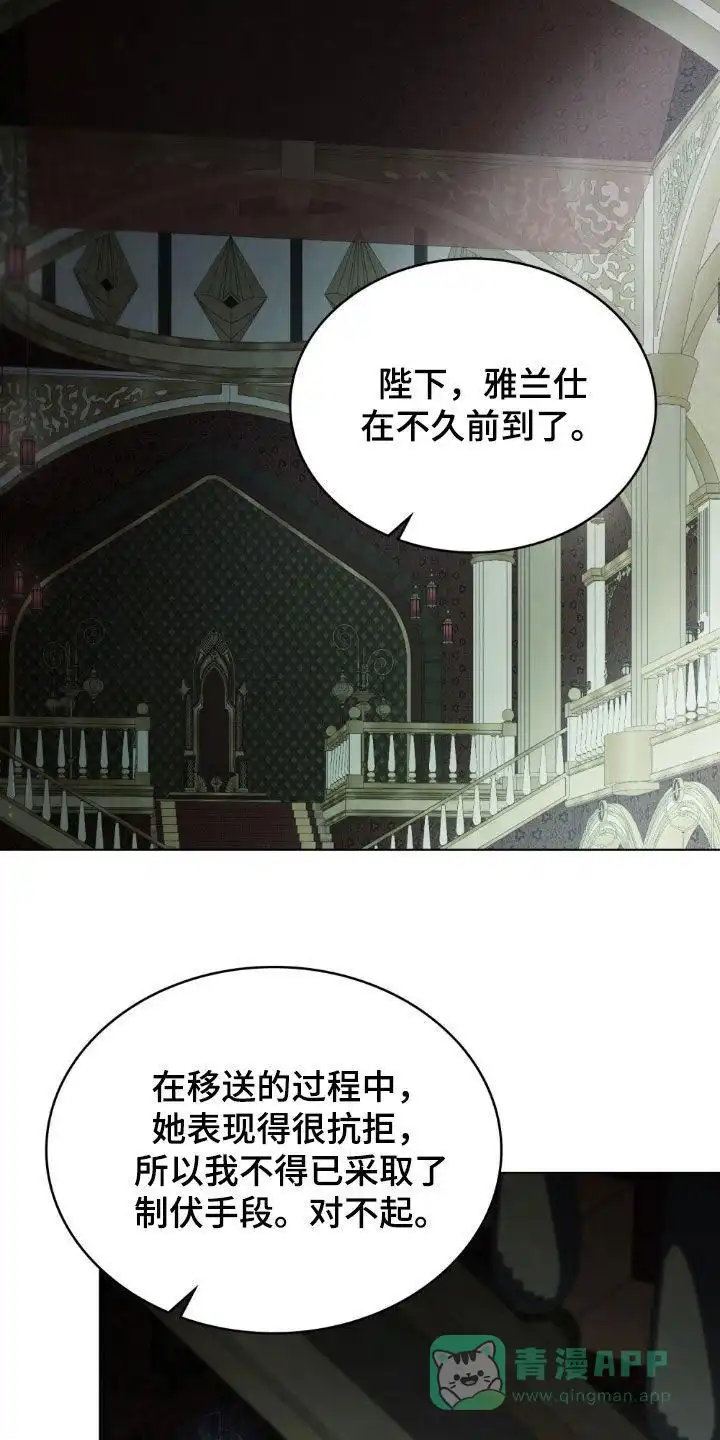 《琥珀魅影》第95话 第6页