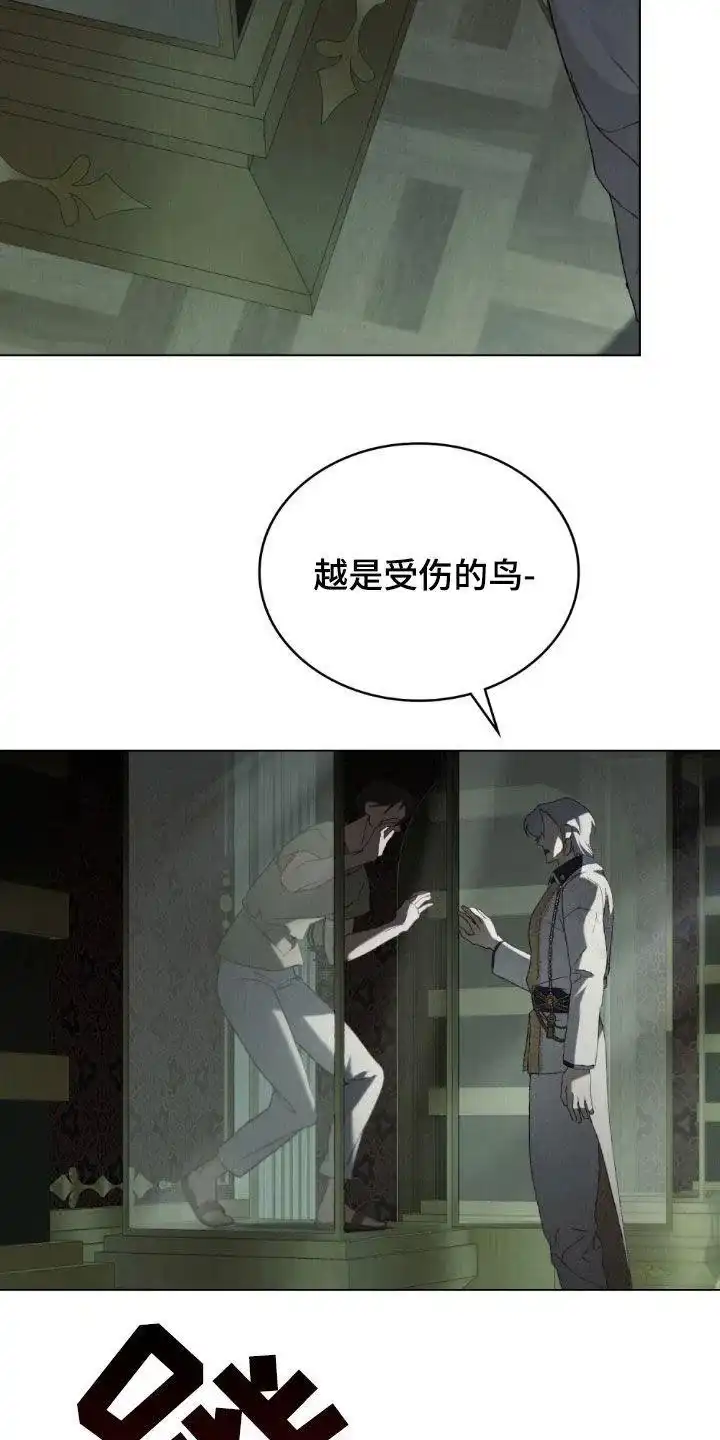 《琥珀魅影》第95话 第8页