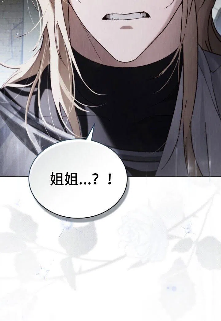 《琥珀魅影》第95话 第29页