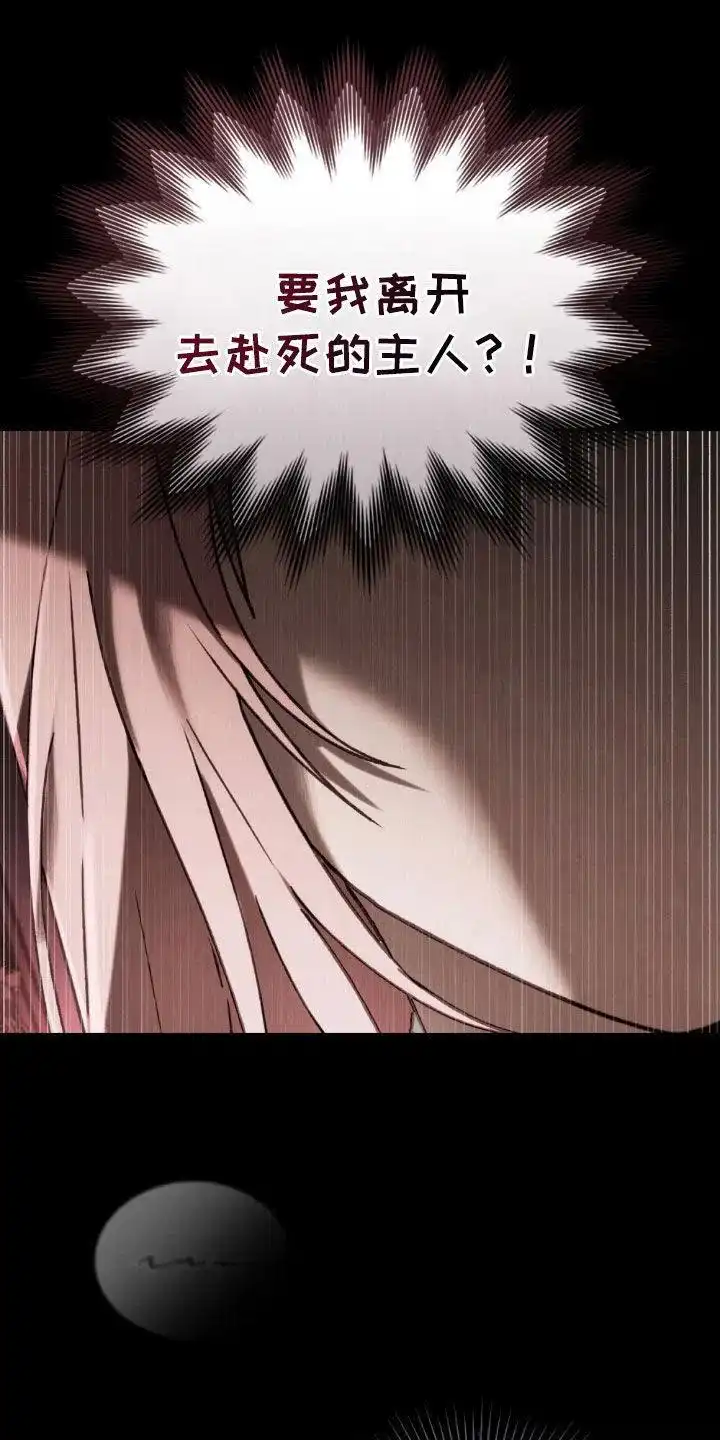 《琥珀魅影》第96话 第10页