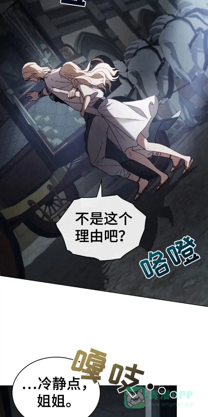 《琥珀魅影》第96话 第26页