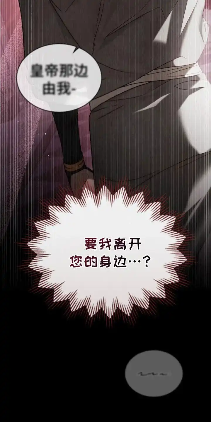 《琥珀魅影》第96话 第9页