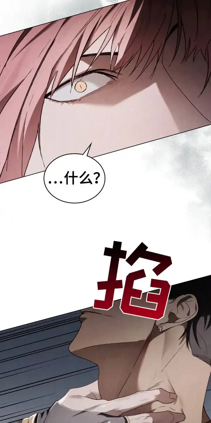 《琥珀魅影》第97话 第13页