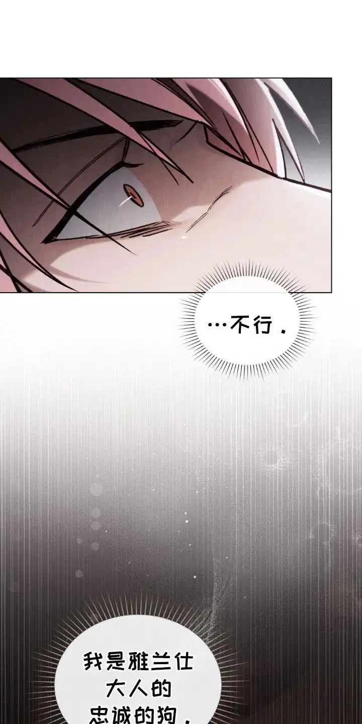 《琥珀魅影》第98话 第17页