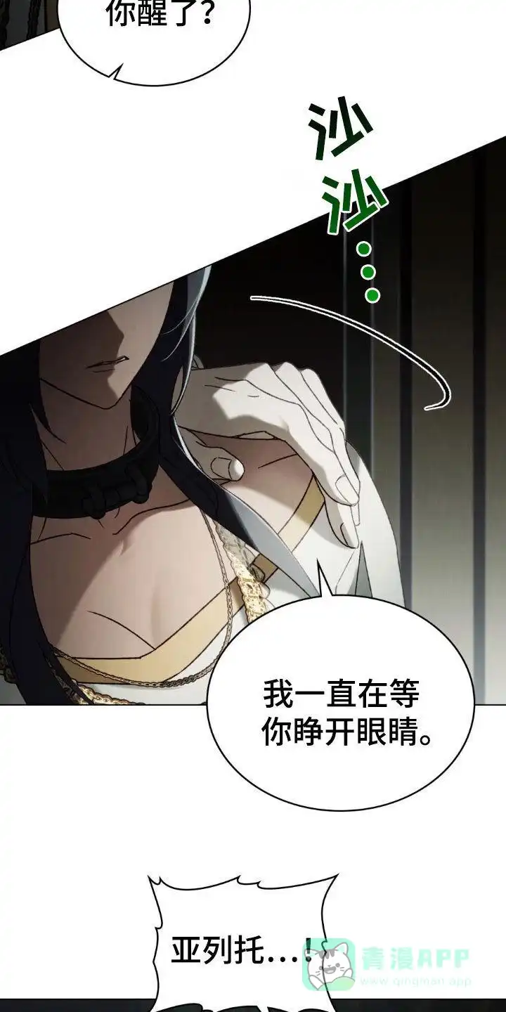 《琥珀魅影》第99话 第26页