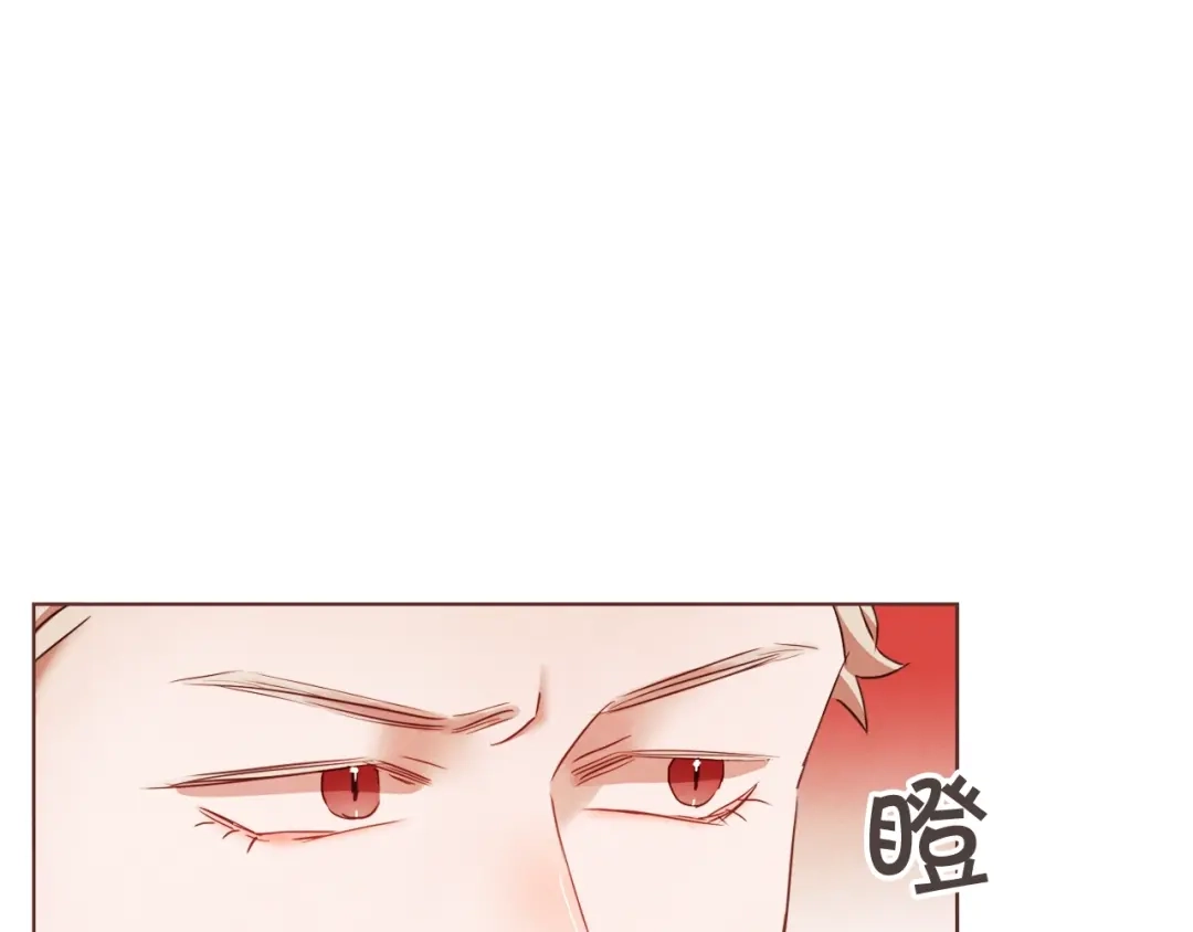《胡说，哪有什么吸血鬼！》第16话 人型兴奋剂 第114页