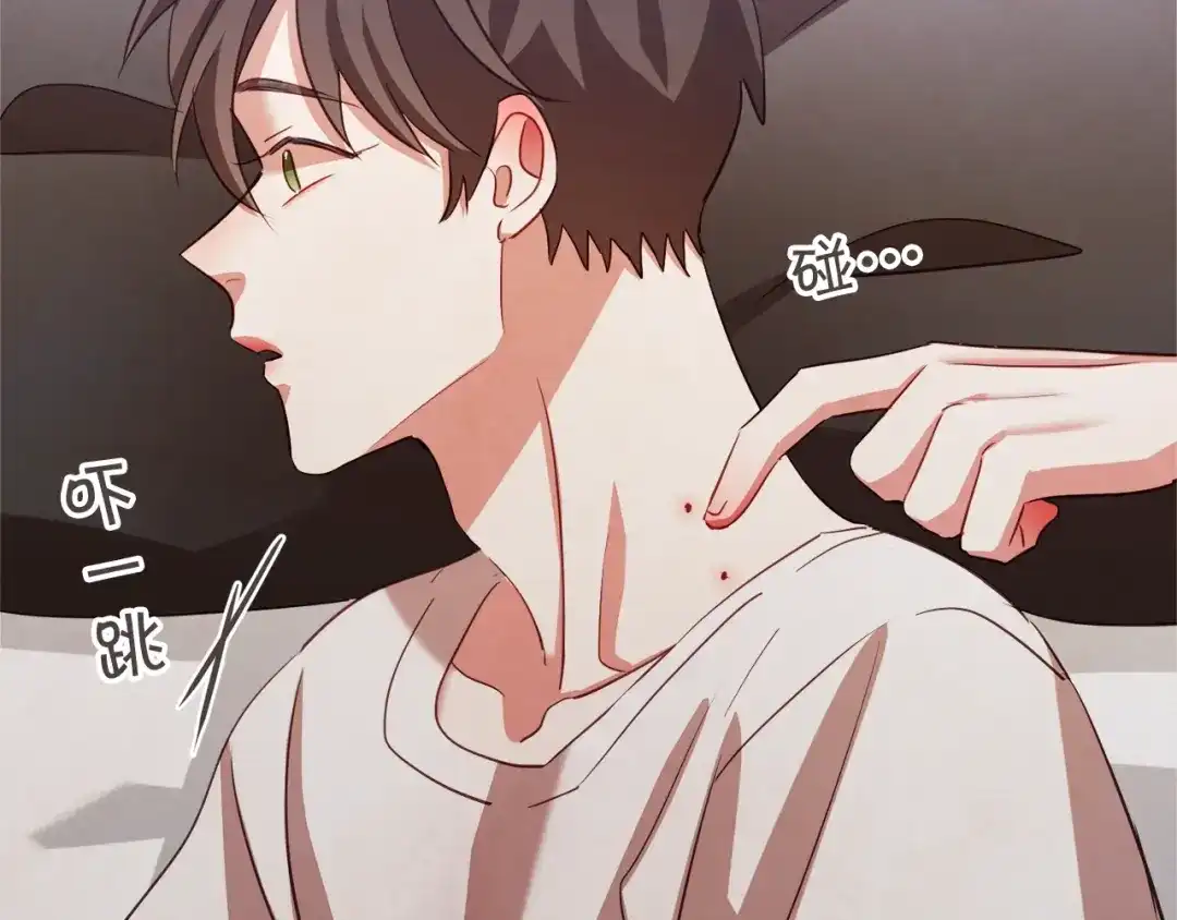 《胡说，哪有什么吸血鬼！》第40话 一直盯着 第27页